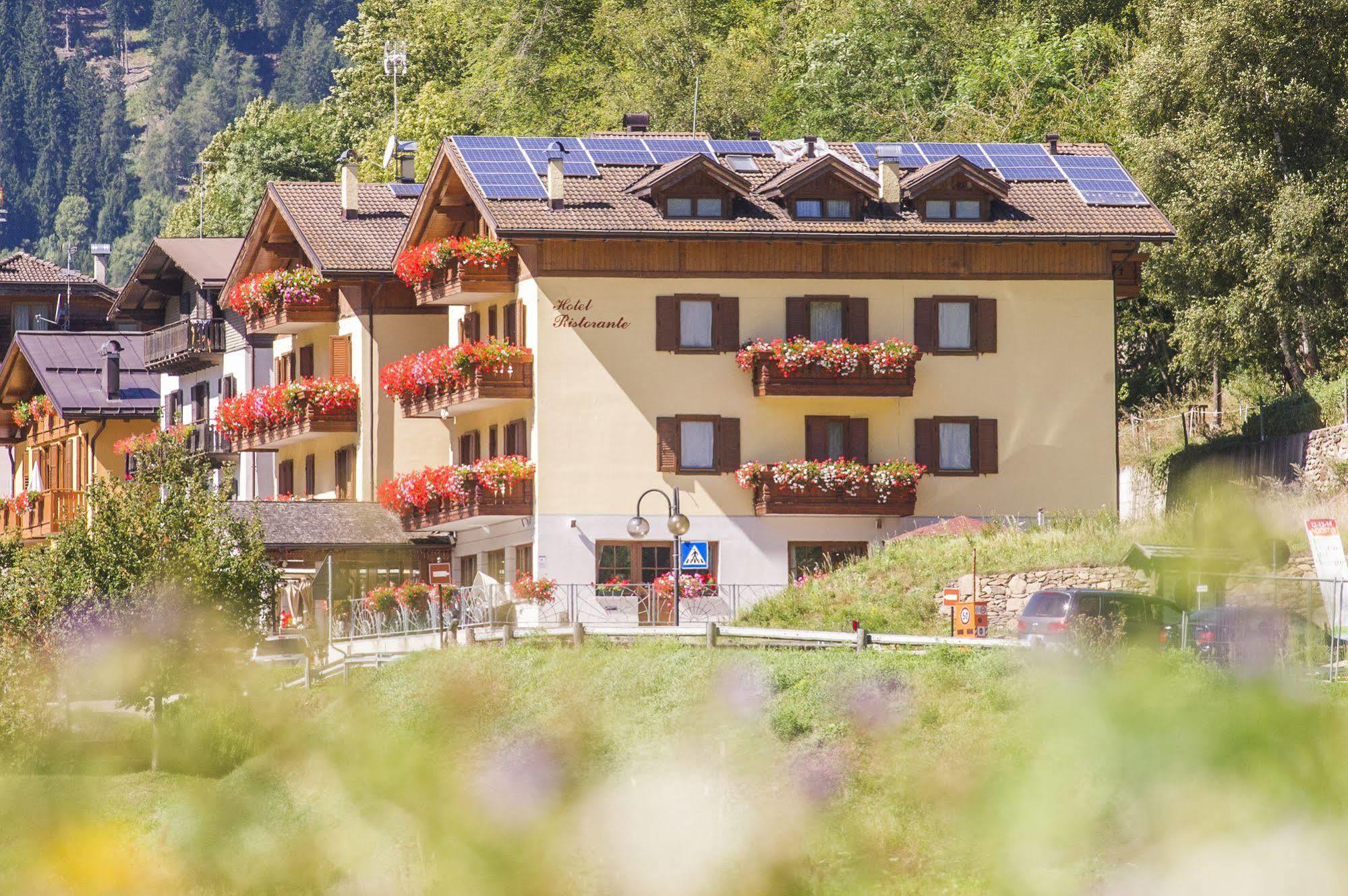 Hotel Pezzotti Pellizzano Dış mekan fotoğraf